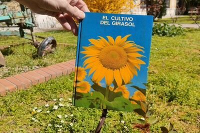 Bookflowers de la @biblioetsiaab